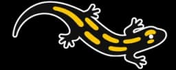 Fire Salamander Logo