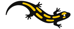 Fire Salamander Logo